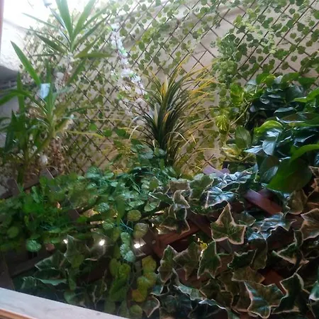 A Casa Di Paoletta