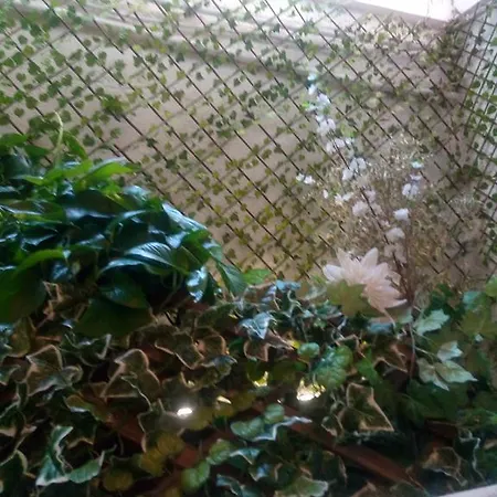 A Casa Di Paoletta Róma